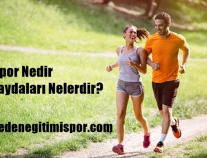 Spor Nedir